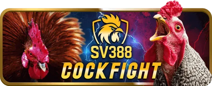 Hình ảnh bảo mật dữ liệu và quyền riêng tư tại king88vina nhà cái